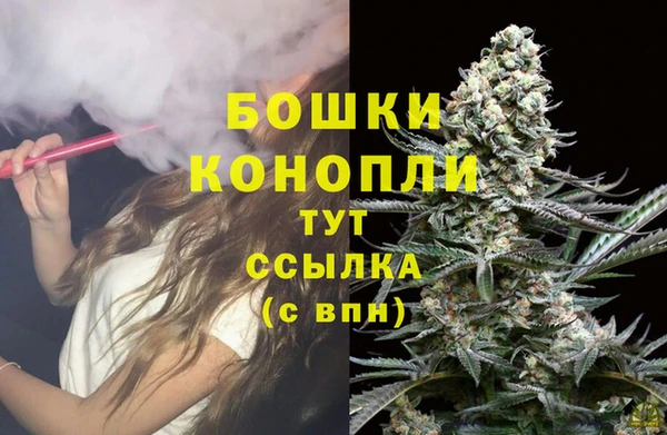 стаф Липки