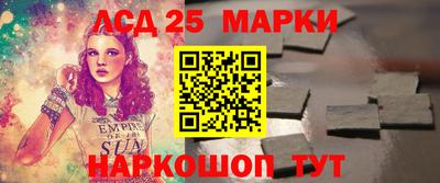 шишки Гатчина