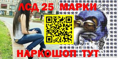 шишки Гатчина