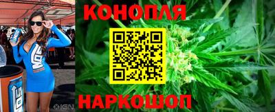 шишки Гатчина