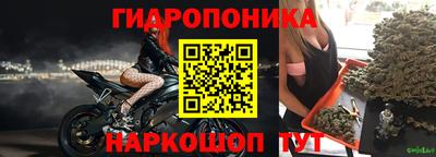спайс Кимры