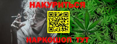 шишки Гатчина