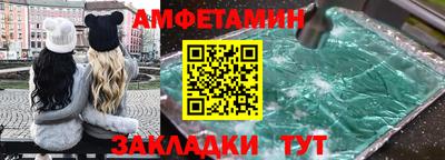 шишки Гатчина