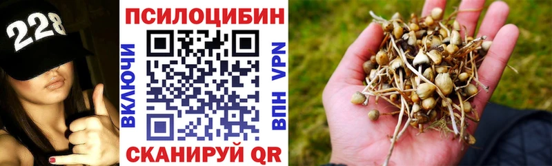 Псилоцибиновые грибы прущие грибы Новочебоксарск