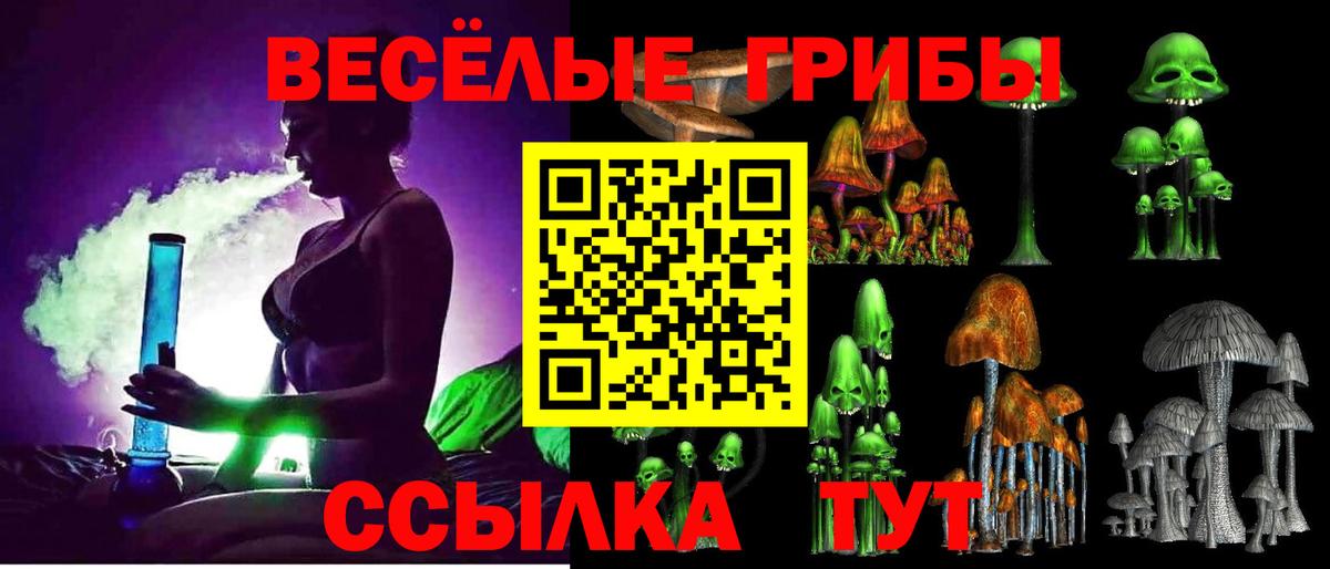 Галлюциногенные грибы MAGIC MUSHROOMS  Вход с VPN  Галлюциногенные грибы прущие грибы  Новочебоксарск 